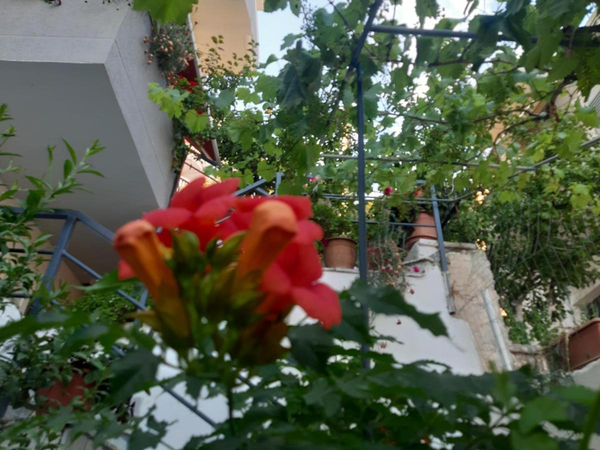 סרנדה Mane Apartments מראה חיצוני תמונה